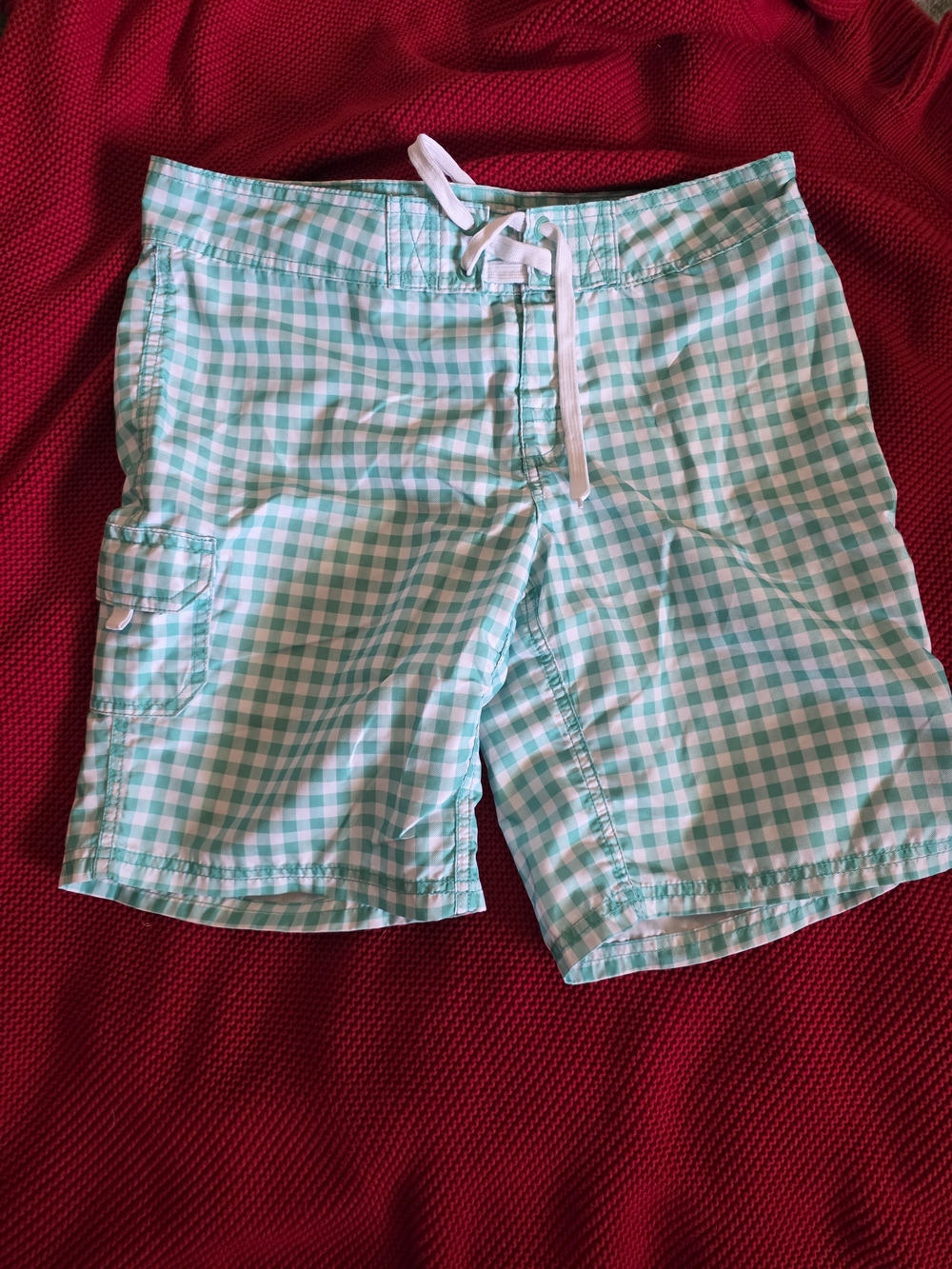 Womens Aqua Gingham Swim Shorts